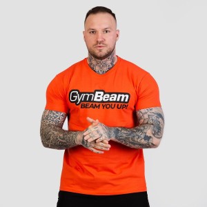 Koszulka męska fitness z krótkim rękawem Beam