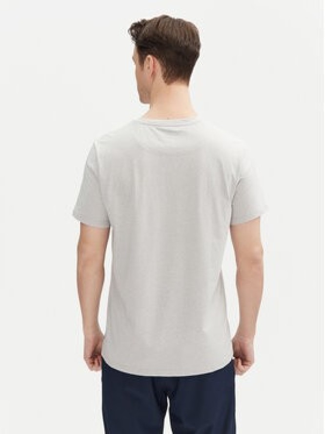 Aulp T-Shirt Roque Szary Regular Fit