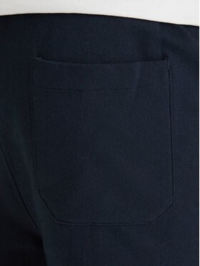 Quiksilver Szorty sportowe EQYFB03372 Granatowy Regular Fit