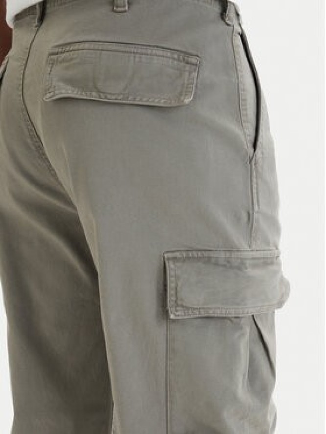 Tommy Jeans Spodnie cargo Otis DM0DM22403 Zielony Regular Fit