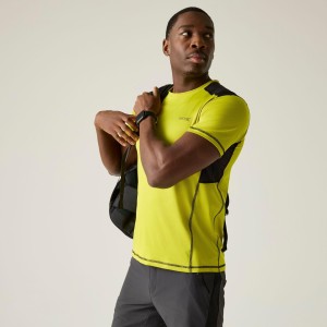 Męska koszulka z krótkim rękawem Virda Active Mesh T-shirt