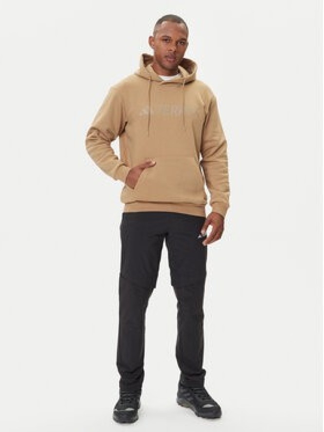 adidas Bluza Terrex Multi Large Logo JM2821 Beżowy Regular Fit