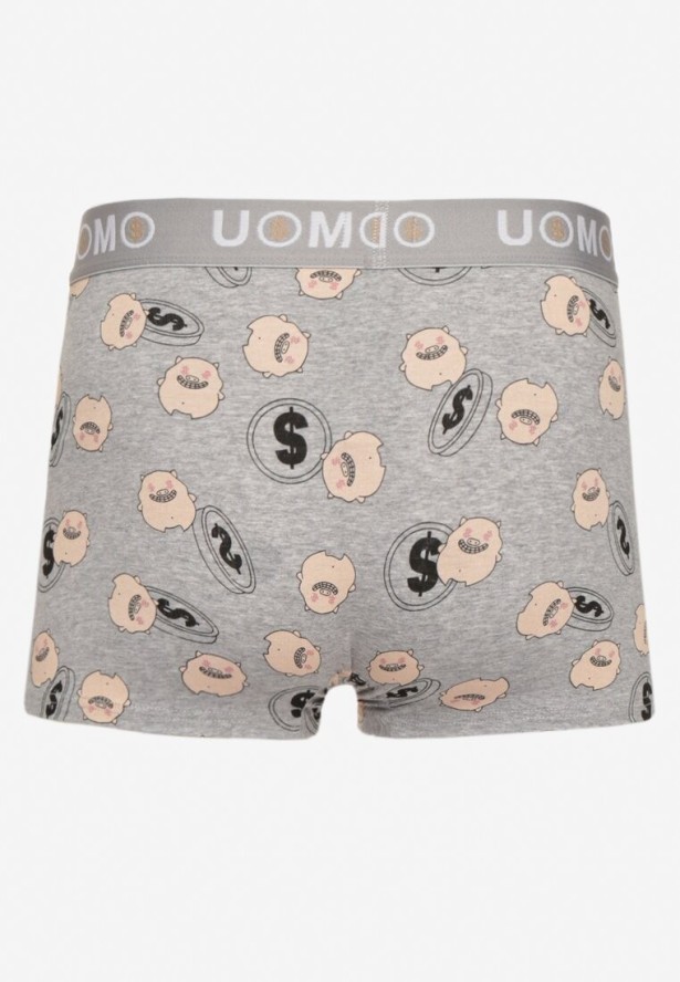 Jasnoszare Bawełniane Majtki Bokserki z Napisem i Szeroką Gumką Nelicia