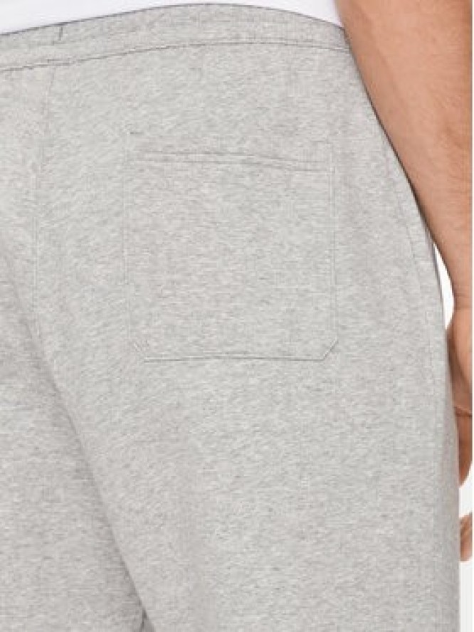 Reebok Spodnie dresowe Activ Coll Dreamblend 100075606 Szary Regular Fit