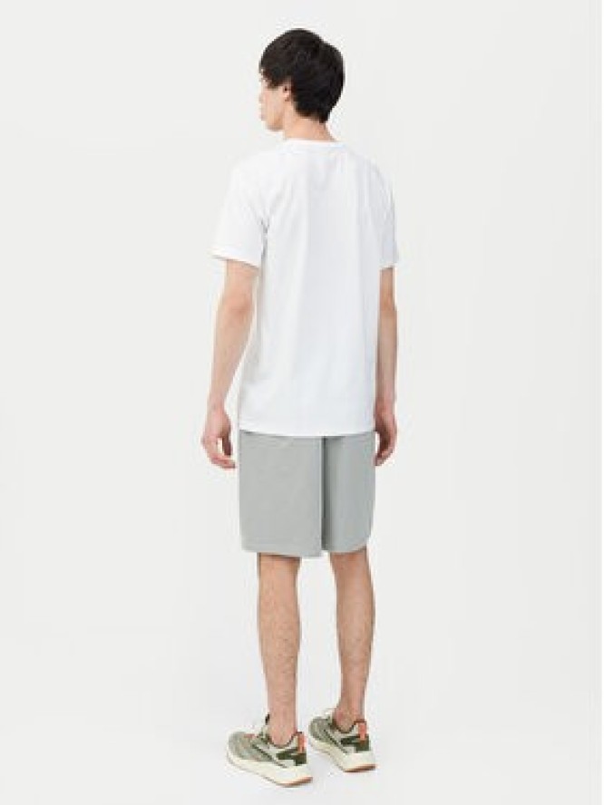 4F Szorty sportowe 4FWSS24TSHOM330 Szary Regular Fit