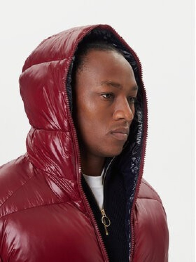 Save The Duck Kurtka zimowa D31280M LOVE21 Bordowy Regular Fit