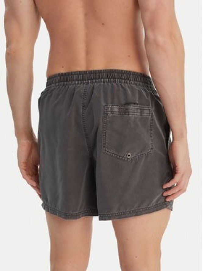 Quiksilver Szorty kąpielowe Everyday Surfwash EQYJV04155 Szary Regular Fit