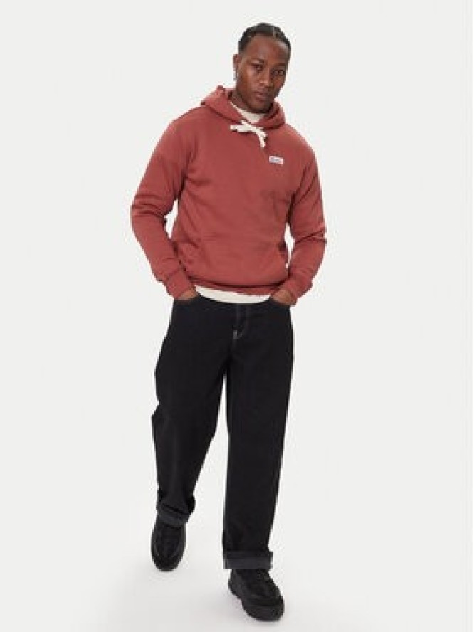 Cotopaxi Bluza Llama Patch Pullover Hoodie F24474M1161 Miedziany Regular Fit