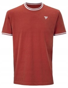 Męska koszulka tenisowa Tecnifibre Team Stretch Tee