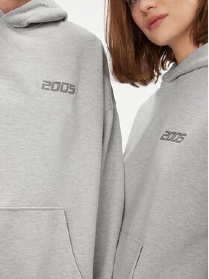 2005 Bluza Unisex Basic Hoodie Szary Relaxed Fit