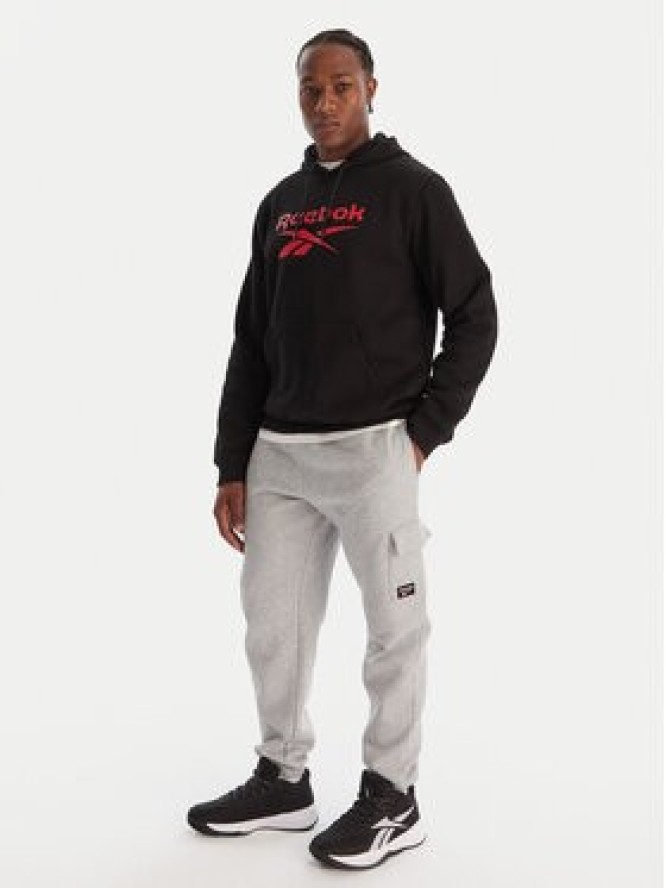 Reebok Spodnie dresowe Wada RK25147CCM Szary Regular Fit