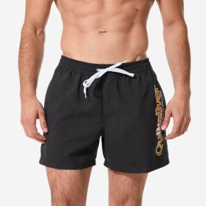 Spodenki surfingowe męskie Quiksilver Til krótkie 15"