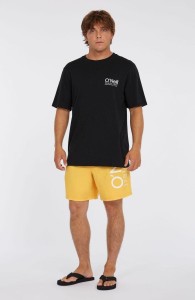 Szorty plażowe męskie O'Neill Original Cali 16''