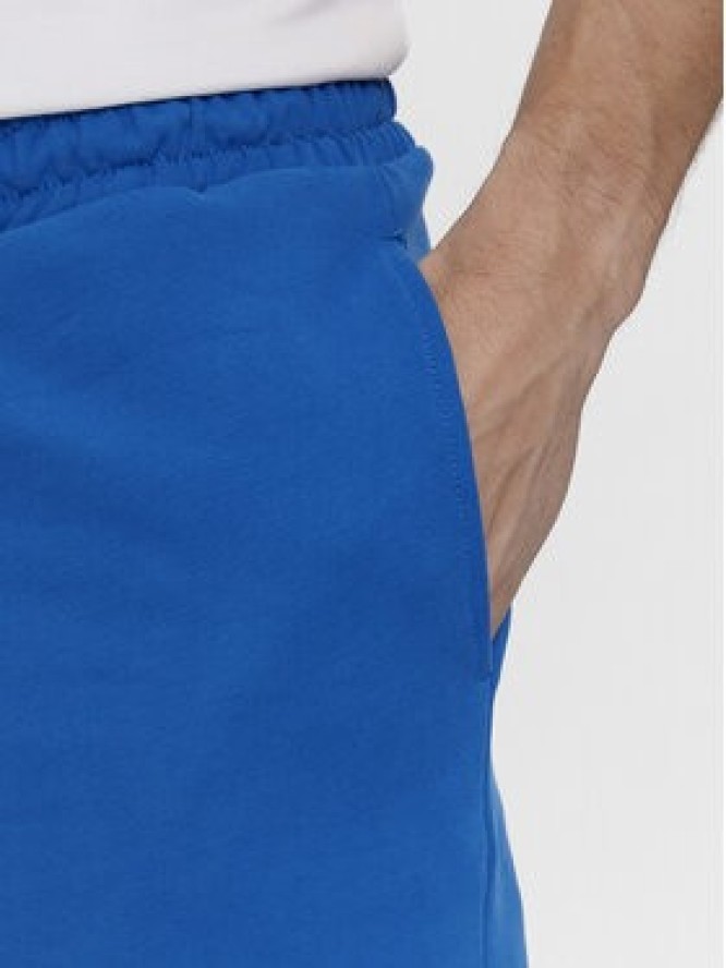 Tommy Jeans Szorty sportowe Tjm Entry Graphic DM0DM19153 Niebieski Regular Fit