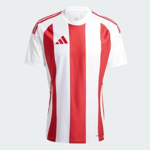 Koszulka Striped 24