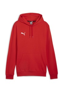 Męska Bluza Z Kapturem Team Goal Casual