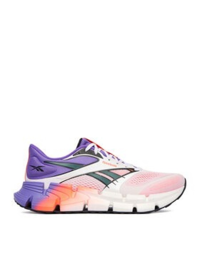 Reebok Buty do biegania EOSB-FLOATZIG 2 100225499 Kolorowy