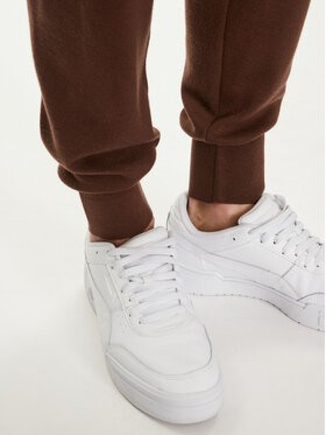 Pangaia Spodnie dresowe Merino Brązowy Regular Fit