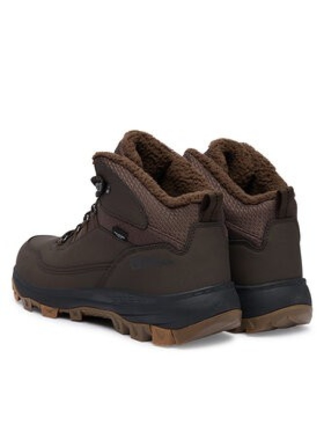 Jack Wolfskin Trekkingi Everquest Texapore Mid 4053611 Brązowy