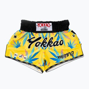 Spodenki treningowe męskie YOKKAO Wax CarbonFit