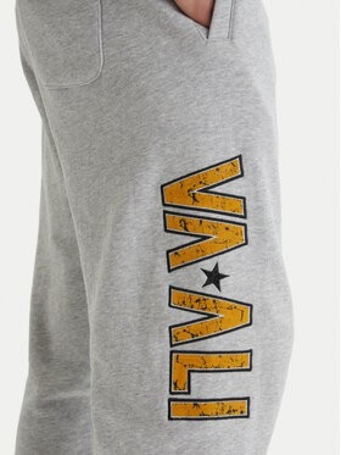RVCA Spodnie dresowe Va X Ali 23A123500 Szary Relaxed Fit