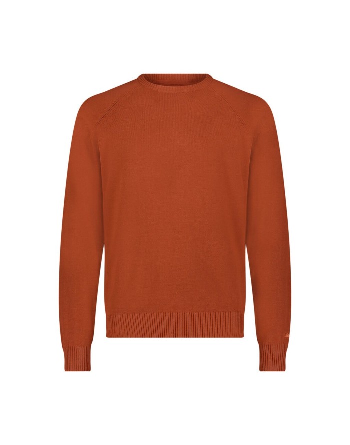 LEE MĘSKI SWETER CLEAN RAGLAN SWEATER SWEET MAPLE 112355672 LD46014970