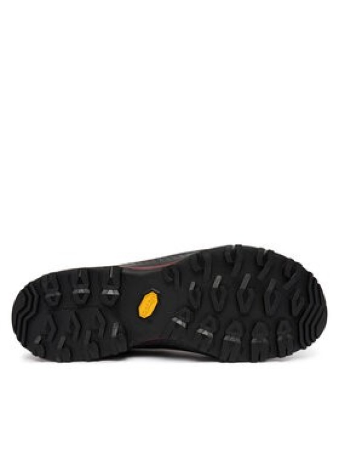 La Sportiva Trekkingi TX5 Evo GTX ZFHS106N07R25 Brązowy