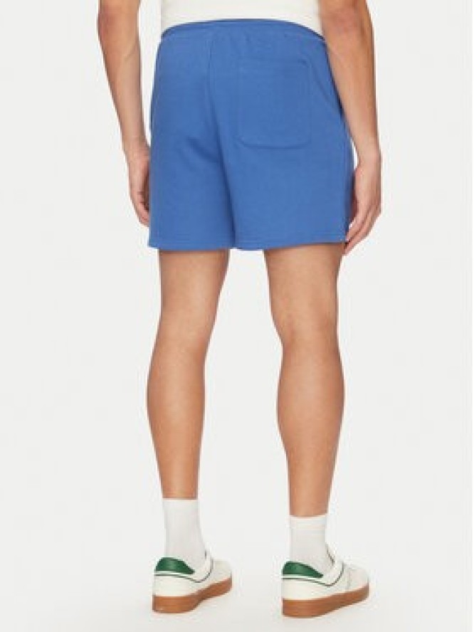 Tommy Jeans Szorty sportowe Flag Beach DM0DM21931 Niebieski Regular Fit