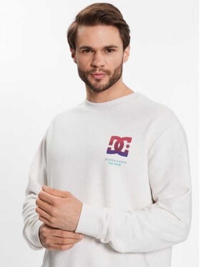 DC Shoes Bluza ADYSF03105 Szary Regular Fit