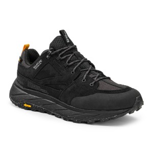 Buty trekkingowe męskie Jack Wolfskin Terraquest Texapore Low