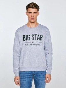 Bluza męska z nadrukiem szara Ecodort 901