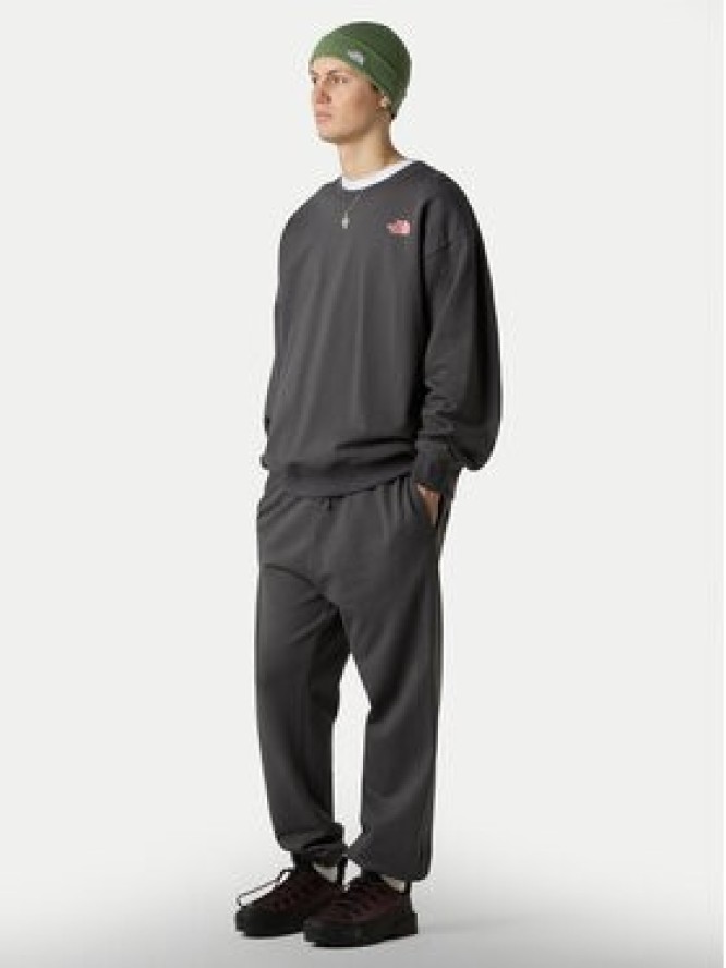 The North Face Spodnie dresowe Expedition Celebration NF0A8E3E Szary Relaxed Fit