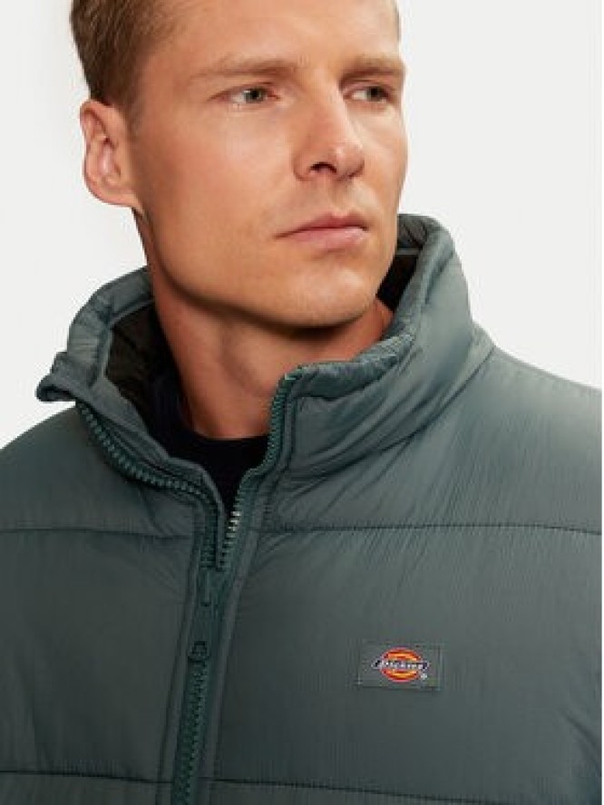 Dickies Kurtka przejściowa Waldenburg DK0A4XP20LN Zielony Regular Fit