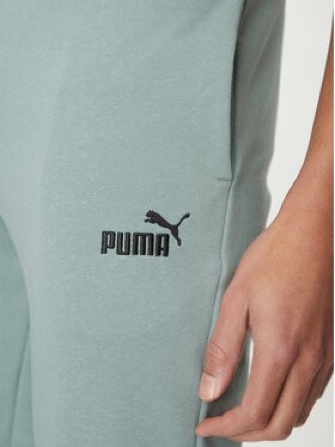 Puma Spodnie dresowe Ess No. 1 Logo 682609 Zielony Regular Fit