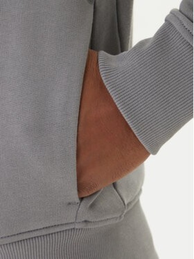 Napapijri Bluza Balis NP0A4HHW Szary Regular Fit