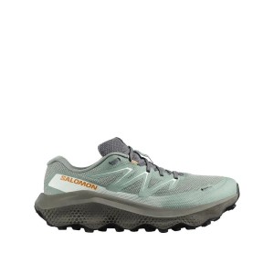 Buty do biegania w terenie Salomon Ultra Flow 2 GTX Zielone