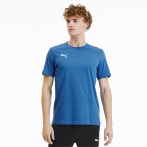 Koszulka Puma Team Goal 23 Casuals