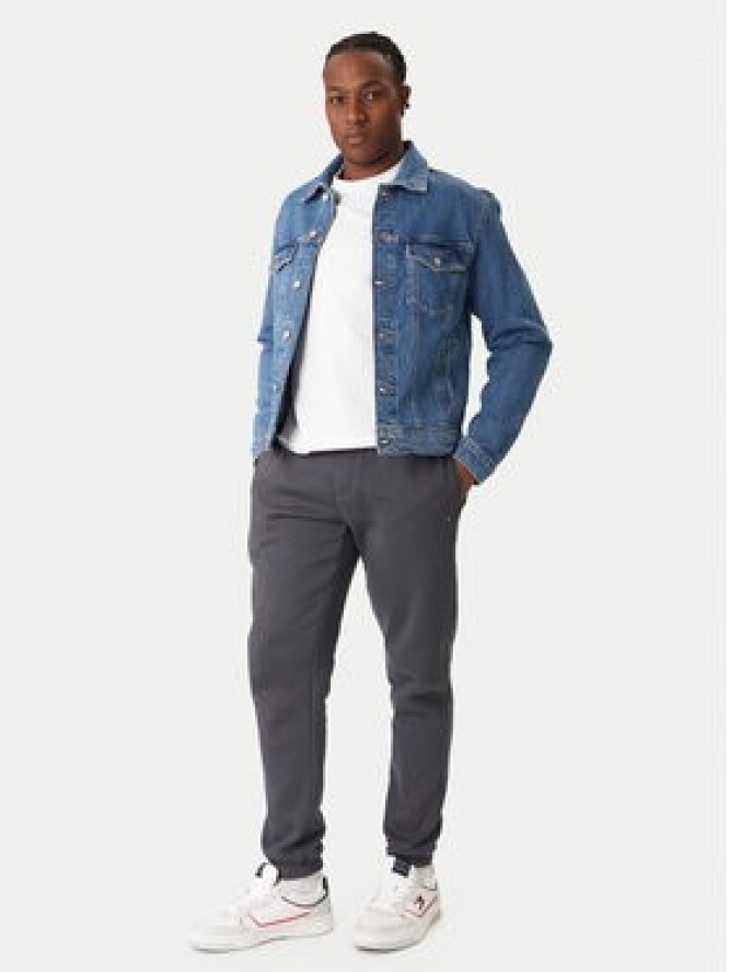 Tommy Jeans Spodnie dresowe DM0DM20473 Szary Regular Fit