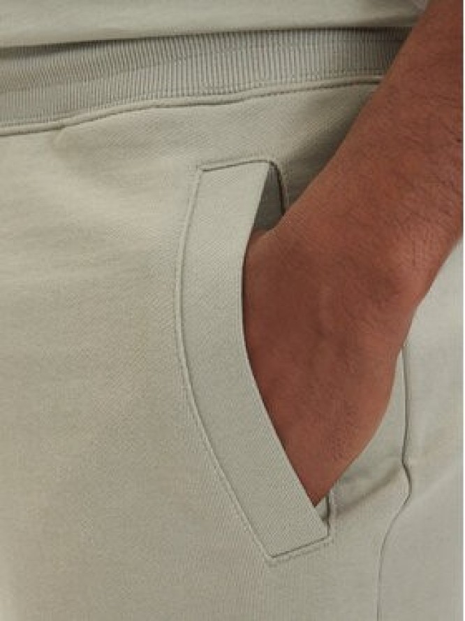 HUGO Szorty sportowe Diz222 50466196 Zielony jasny Regular Fit