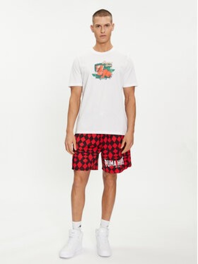 Puma T-Shirt Graphics Spritz 625414 Biały Regular Fit