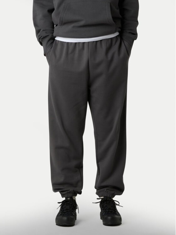 The North Face Spodnie dresowe Expedition Celebration NF0A8E3E Szary Relaxed Fit