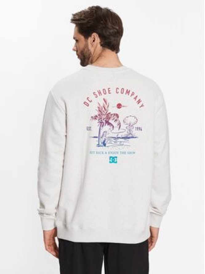 DC Shoes Bluza ADYSF03105 Szary Regular Fit