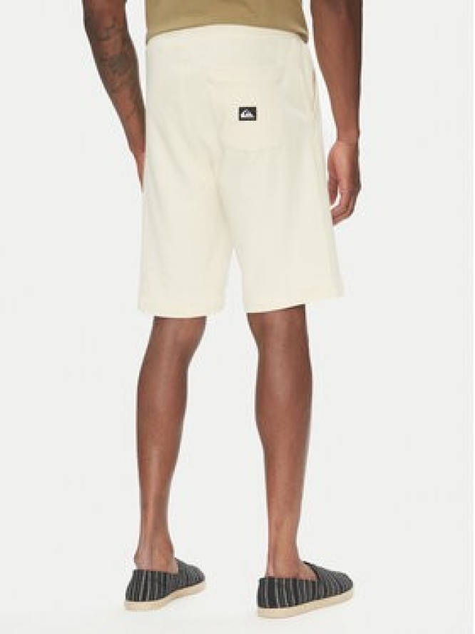 Quiksilver T-Shirt Ev Disconnect Effects EQYZT08049 Khaki Regular Fit