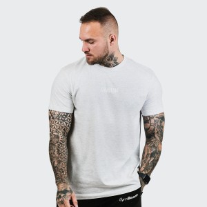 Koszulka męska fitness regular fit FIT