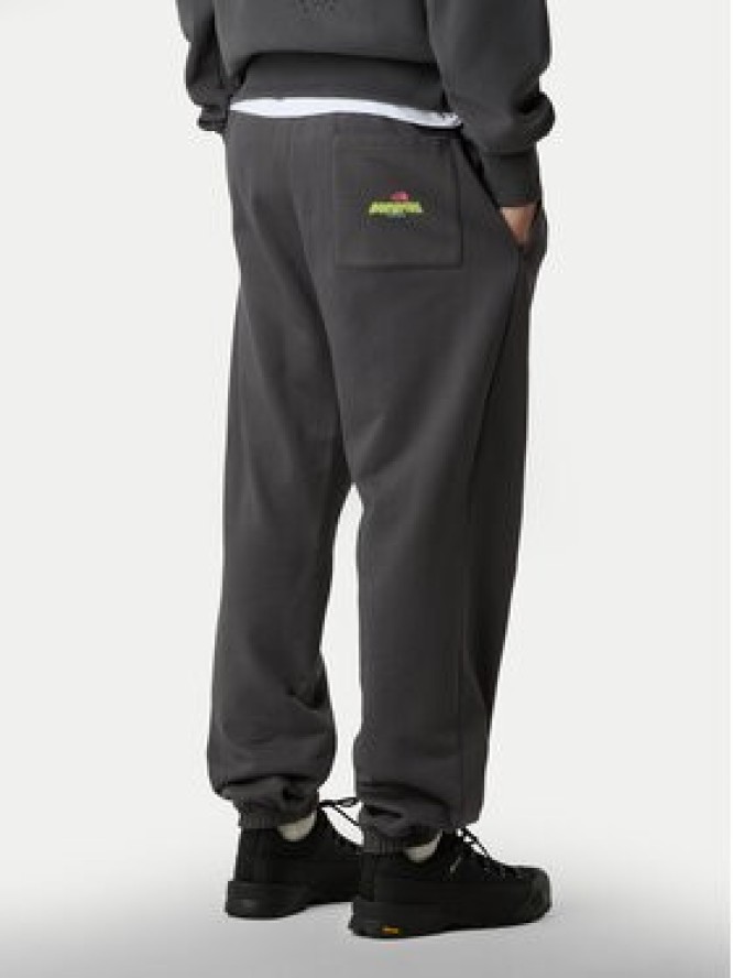 The North Face Spodnie dresowe Expedition Celebration NF0A8E3E Szary Relaxed Fit