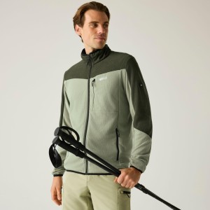 Polaire Regatta Freesdale