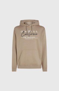 Bluza Męska O'Neill TRVLR Series Cali