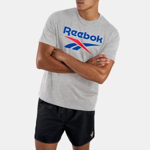 Koszulka fitness męska Reebok