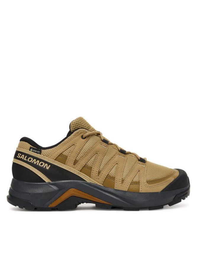 Salomon Trekkingi X-Adventure Recon Gore-Tex L47813100 Brązowy