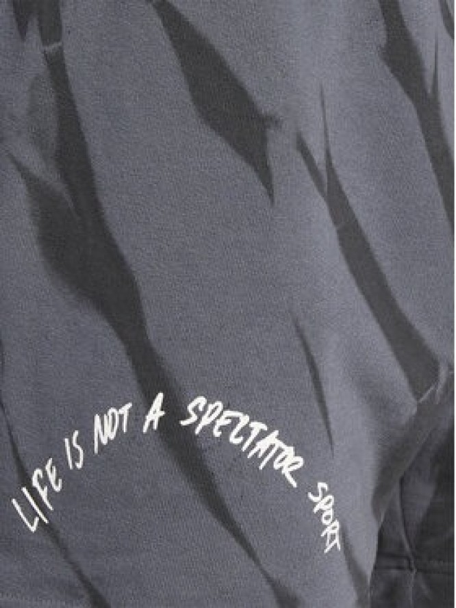 Reebok Szorty sportowe Classics Block Party Shorts HS9179 Szary